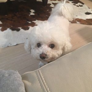 Meet your Posher, Lindsey